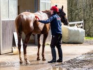 BP200326-54 - It's Hard To Know